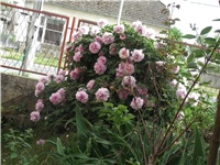 3f49a57a-Picture 009.jpg